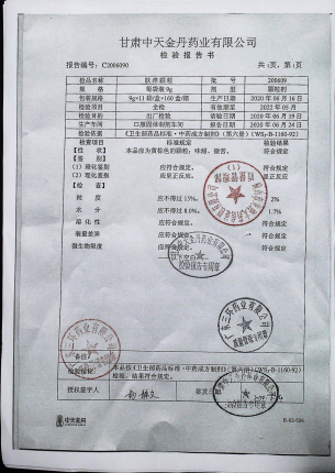 肤痒颗粒200609的封面