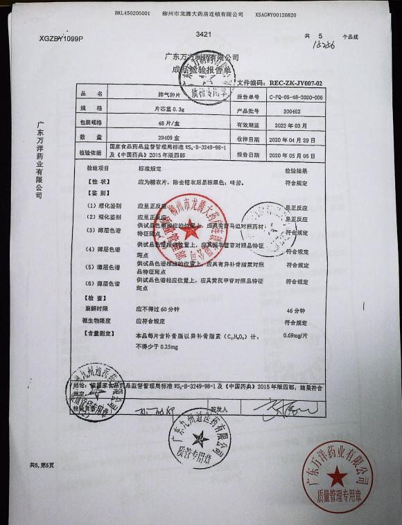 肺气肿片200402的封面