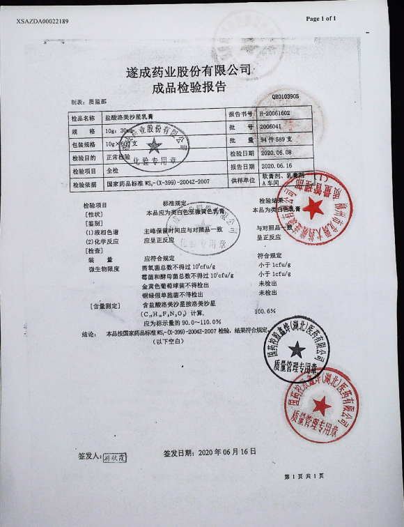 盐酸洛美沙星乳膏2006041的封面