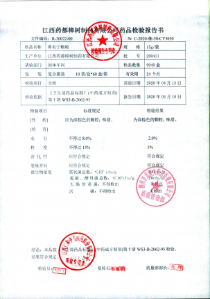 鼻炎宁颗粒200411的封面