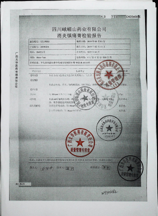 消炎镇痛膏20190201的封面