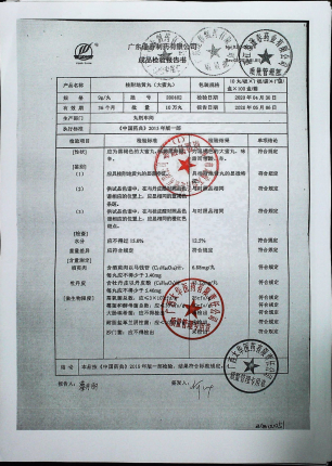 桂附地黄丸（大蜜丸）200402的封面