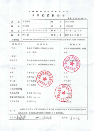 肺宁颗粒2002005的封面