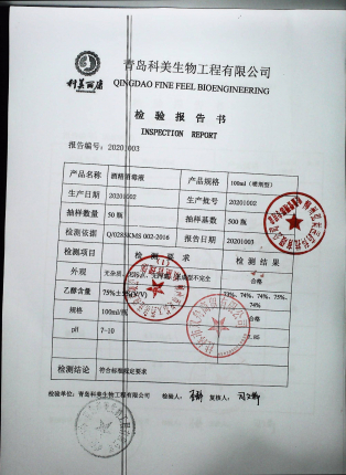 酒精消毒液（100ml喷剂型）20201002的封面