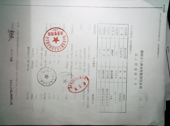 夏天无胶囊200401的封面