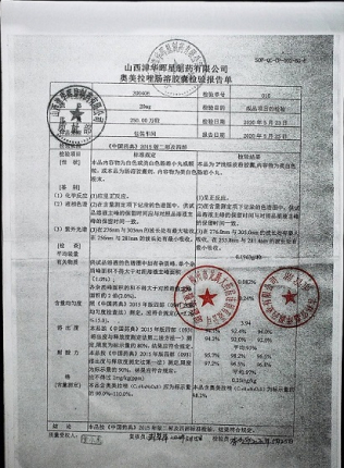奥美拉唑肠溶胶囊200406的封面