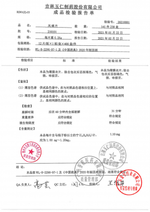 玉仁_风痛片_210101(1)的封面