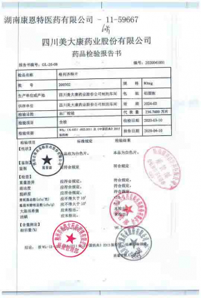 格列齐特片200302的封面