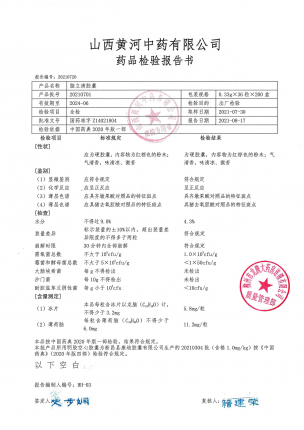 脑立清胶囊20210701的封面