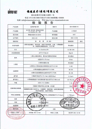 稳健 医用护理口罩20211123 604-006695-01的封面