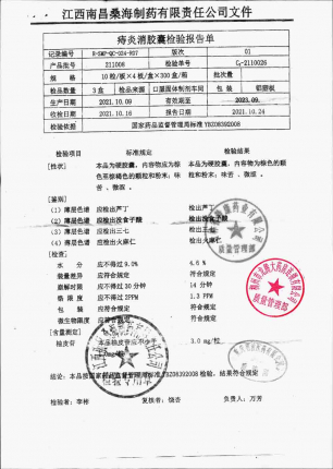 桑海制药_痔炎消胶囊_211008的封面