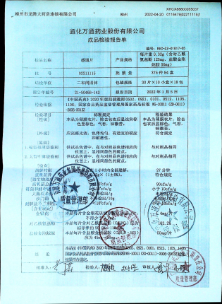 感通片02211115的封面