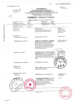 西比灵_盐酸氟桂利嗪胶囊_LEJ4814的封面
