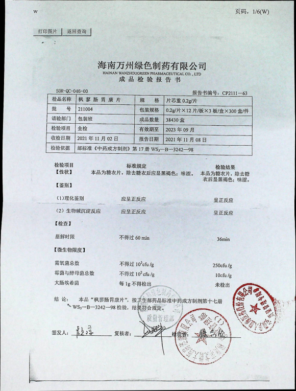 枫蓼肠胃康片211004的封面