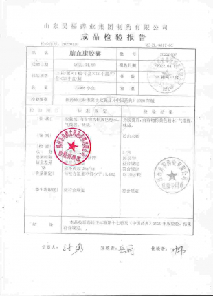 脑血康胶囊20220402的封面