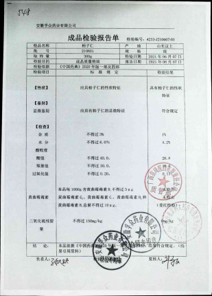 柏子仁210601的封面