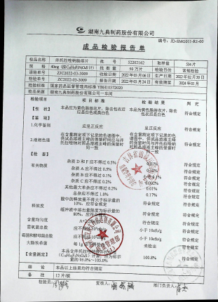 泮托拉唑钠肠溶片52202162的封面
