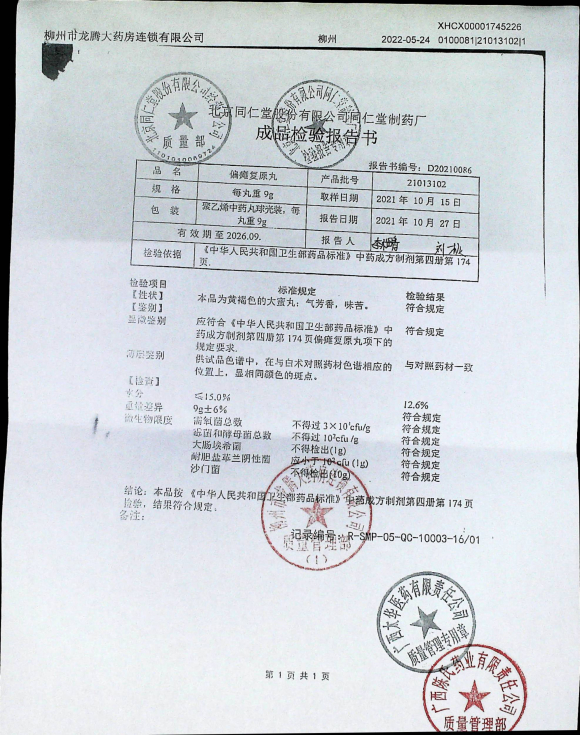 偏瘫复原丸21013102的封面