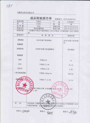 冬葵子210801的封面