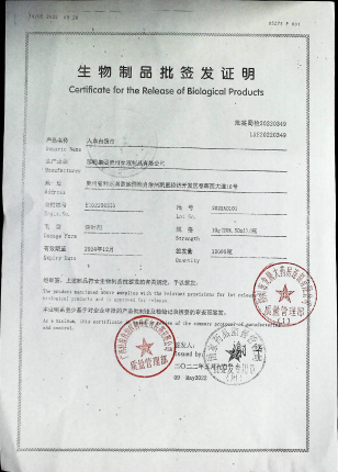 人血白蛋白2022A0101的封面