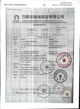 氯霉素滴眼液220505-2的封面