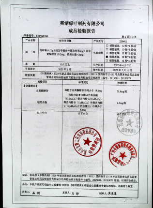 银杏叶胶囊220402的封面