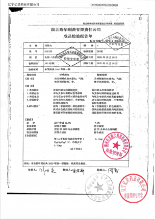 梁湖_归脾丸_211130(1)的封面