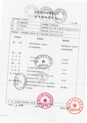 力玖_硫酸亚铁片_20220302的封面