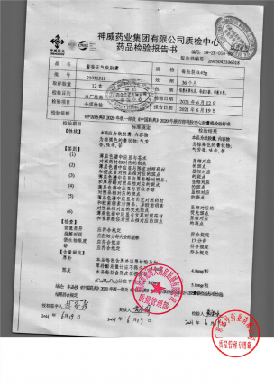 神威_藿香正气软胶囊_21051311的封面