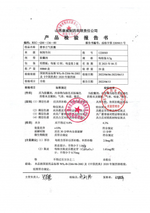 检验_藿香正气胶囊_2066178-1_1220503_1的封面