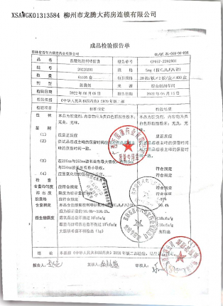 盐酸氟桂利嗪胶囊20220201的封面