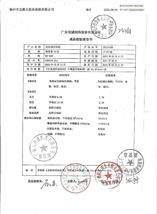 风热感冒颗粒20220306的封面
