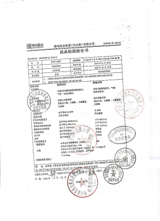 肝胃气痛片202201004的封面