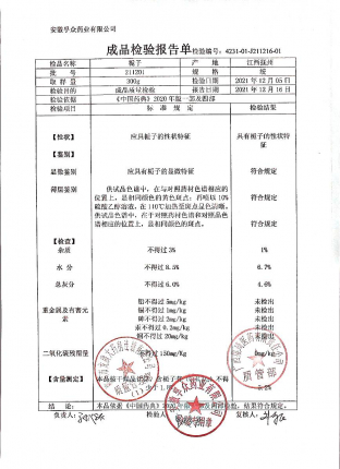 栀子211201的封面