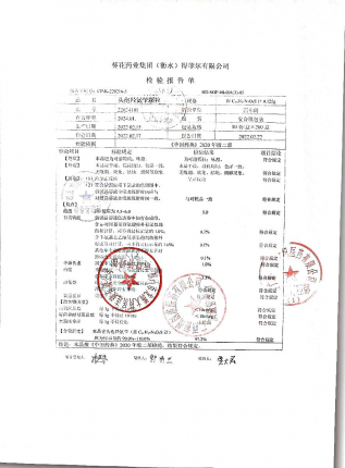 头孢羟氨苄颗粒22024101的封面