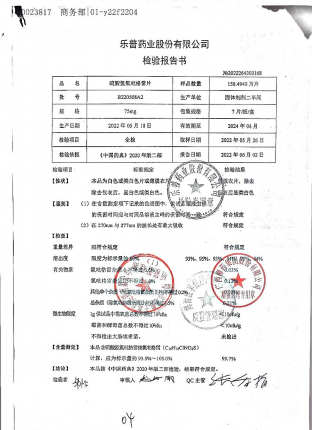 硫酸氢氯吡格雷片B220508A2的封面