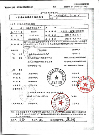 双氯芬酸钠缓释片211206的封面