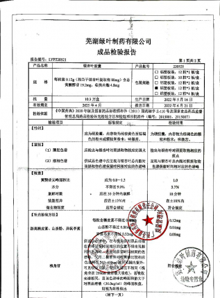 银杏叶胶囊220521的封面