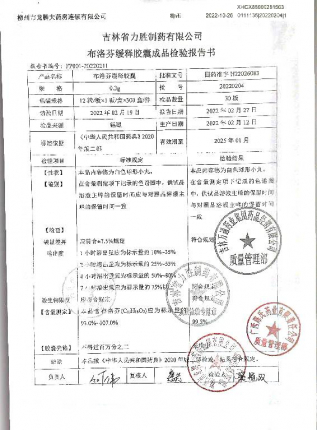 布洛芬缓释胶囊20220204的封面