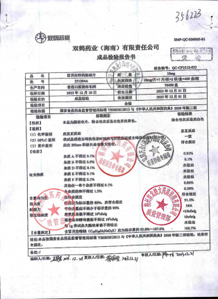 雷贝拉唑钠肠溶片231204A的封面