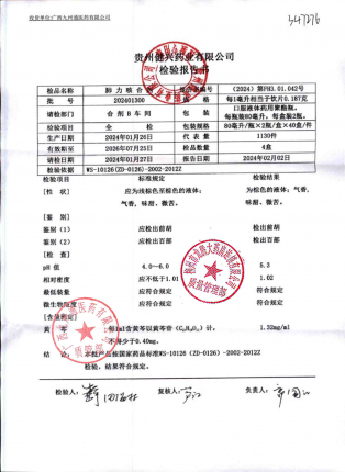 肺力咳合剂202401300的封面