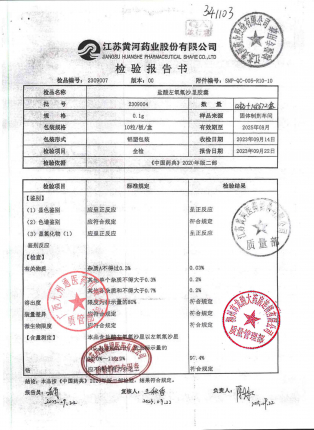 盐酸左氧氟沙星胶囊2309004的封面