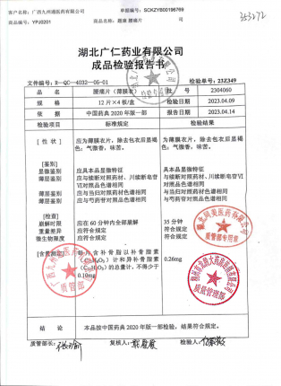 腰痛片（题康）2304060的封面