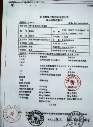 林可霉素利多卡因凝胶240605的封面