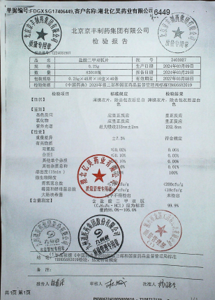 盐酸二甲双胍片2403027的封面