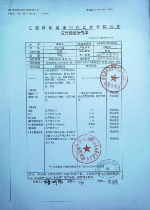 车前子240601的封面