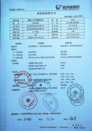 盐酸二甲双胍肠溶片20240202的封面