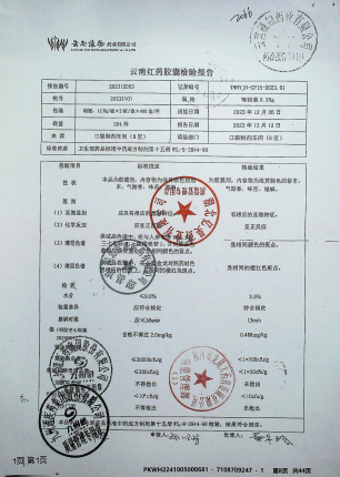 云南红药胶囊20231101的封面
