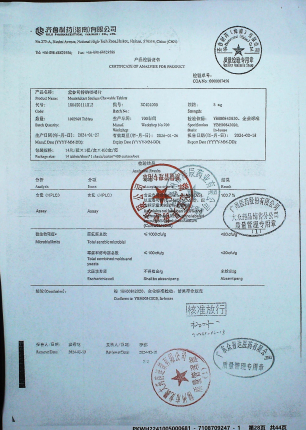 孟鲁司特咀嚼片NC4G4005的封面