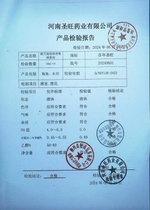 破立迪创面消毒喷雾剂20240601的封面